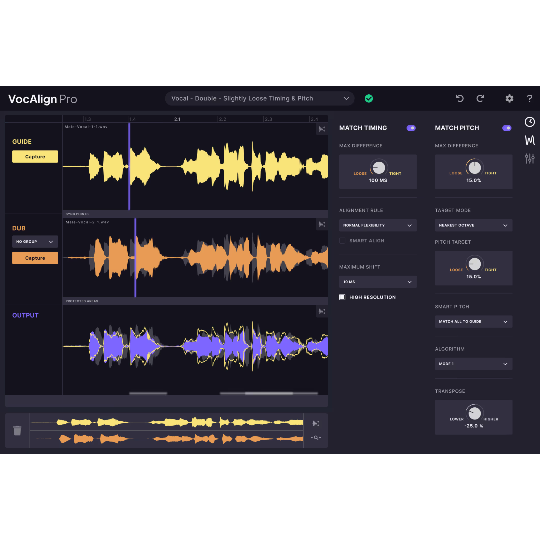 Screenshot of VocAlign Pro Interface